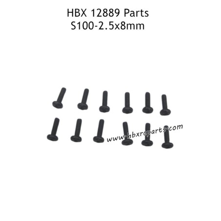 HAIBOXING HBX 12889 RC Truck Parts 2.5X8mm Round Head Screws S100