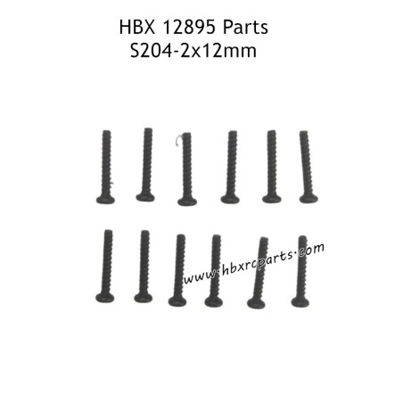 HAIBOXING HBX 12895 Parts 2X12mm Round Head Self Tapping Screw S204