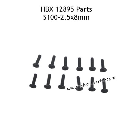 HAIBOXING HBX 12895 Parts 2.5X8mm Round Head Screw S100